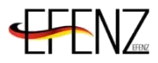 Efenz logo